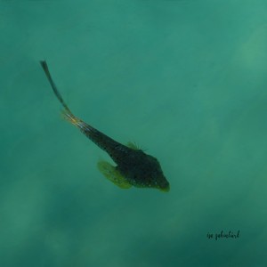 Erkek Görsel 2
